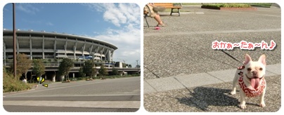 20110925sanpo2.jpg