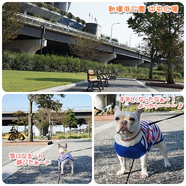 20111007sanpo.jpg