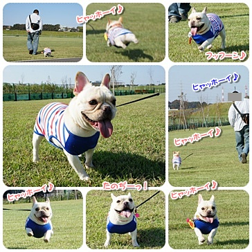 20111007sanpo2.jpg