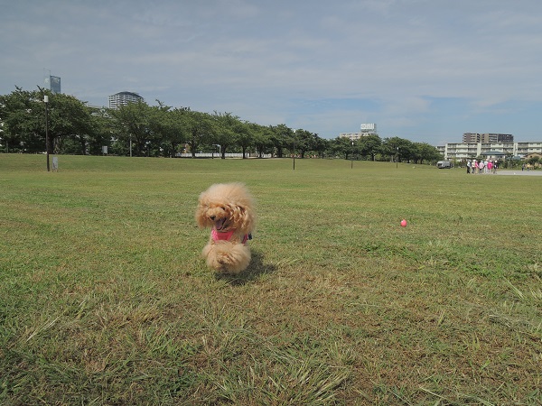 DSCN8598.jpg