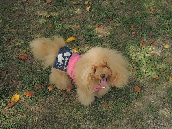 DSCN8606.jpg