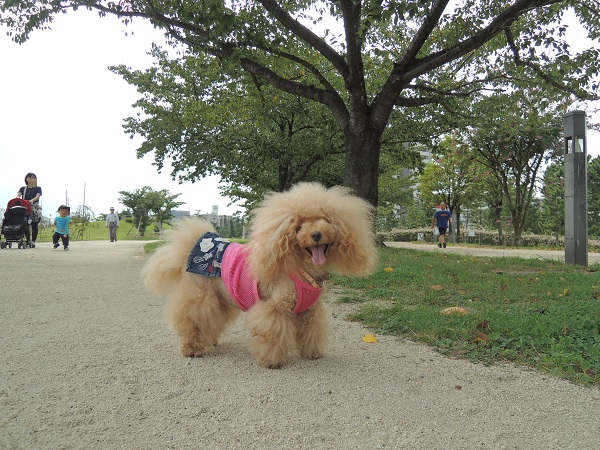 DSCN8613.jpg