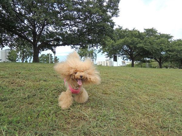DSCN8620.jpg