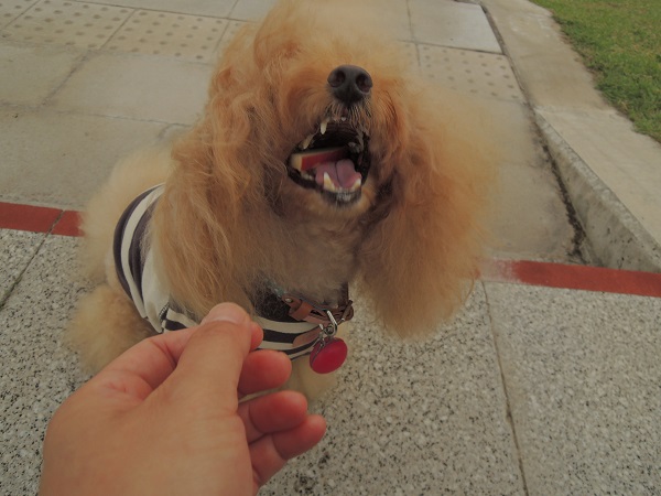 DSCN8827.jpg