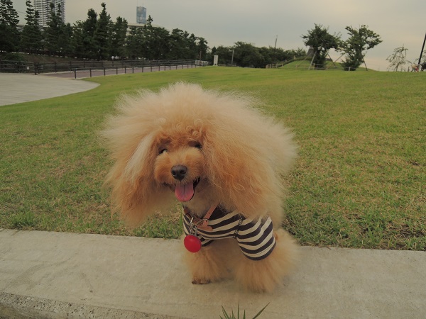 DSCN8839.jpg
