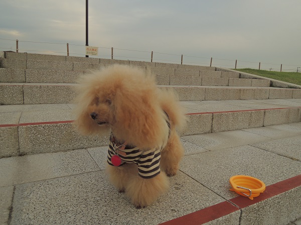 DSCN8844.jpg