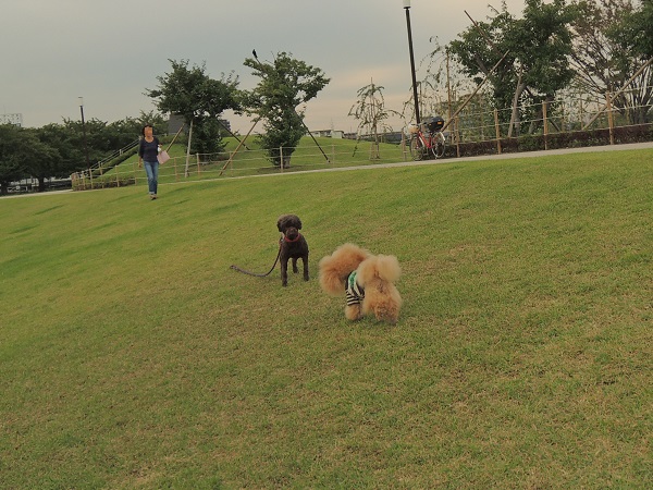 DSCN8845.jpg