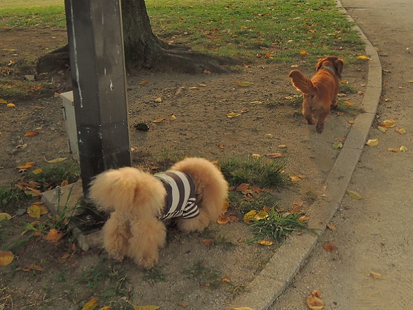 DSCN8951.jpg