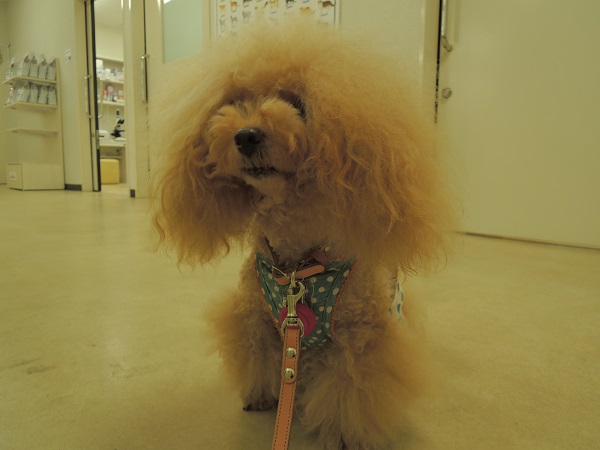 DSCN9330.jpg