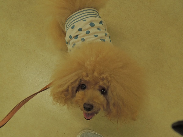 DSCN9333.jpg