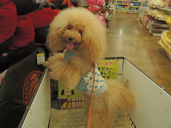 DSCN9335.jpg