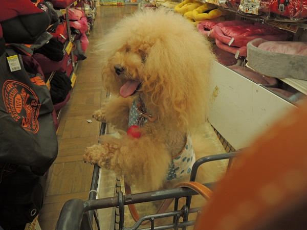 DSCN9336.jpg