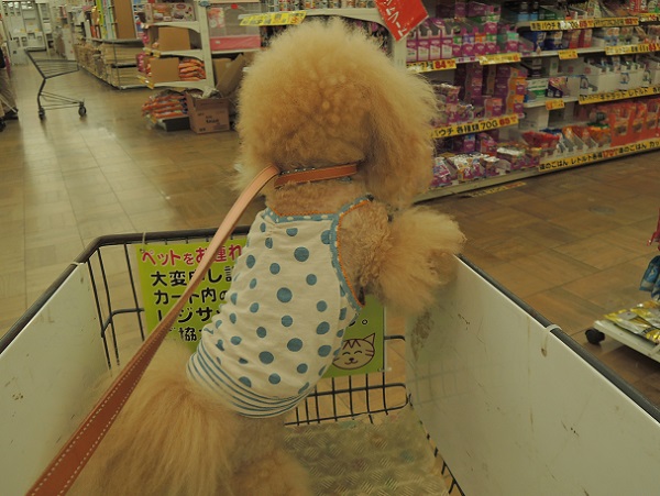 DSCN9337.jpg