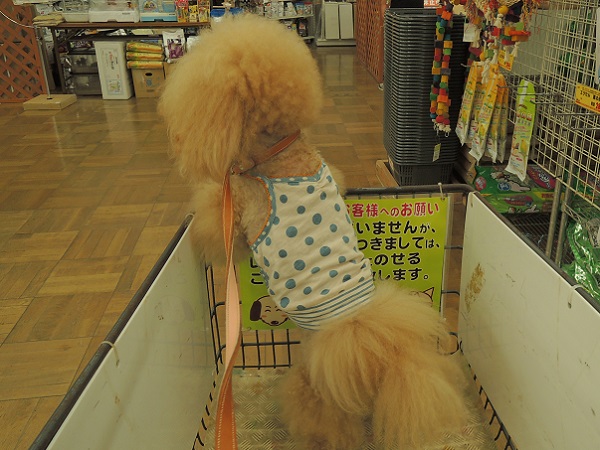 DSCN9338.jpg