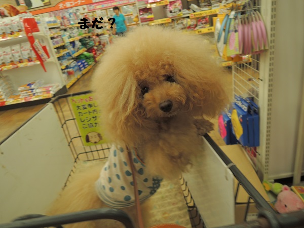 DSCN9339.jpg