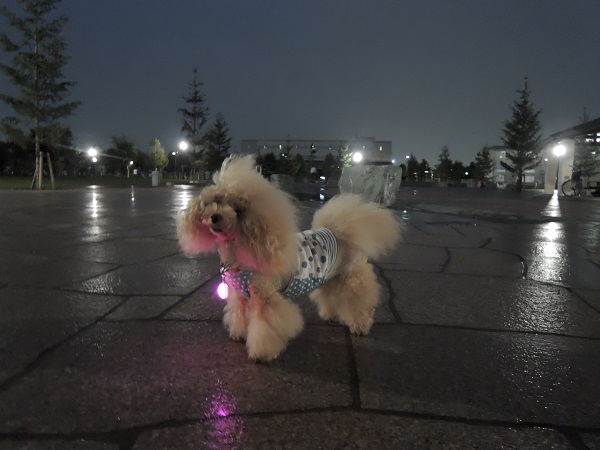 DSCN9347.jpg