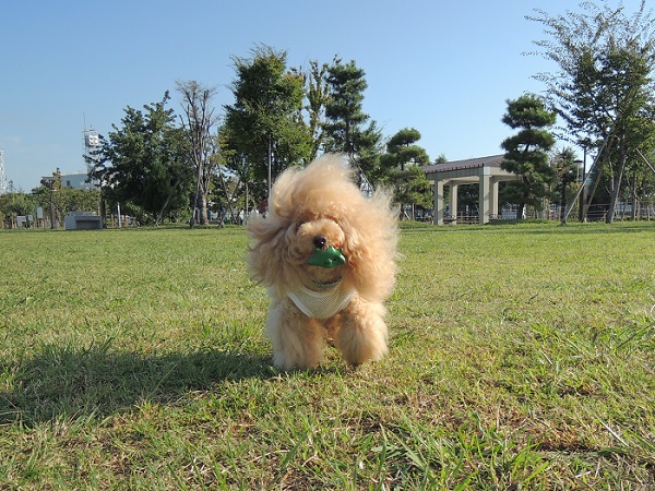 DSCN9397.jpg