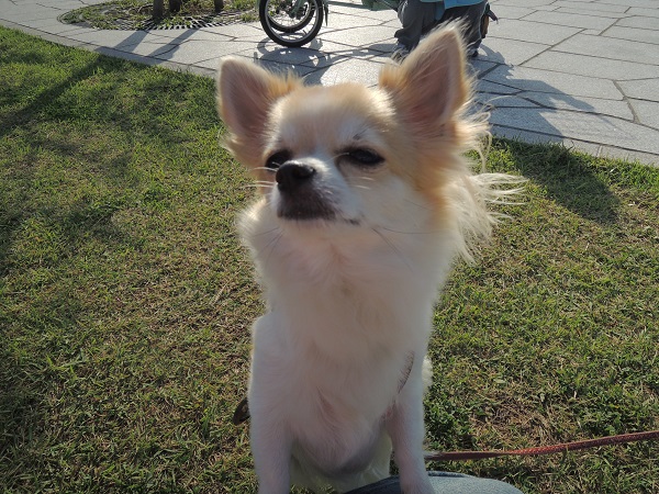 DSCN9404.jpg