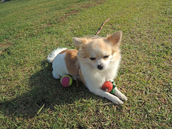 DSCN9413.jpg
