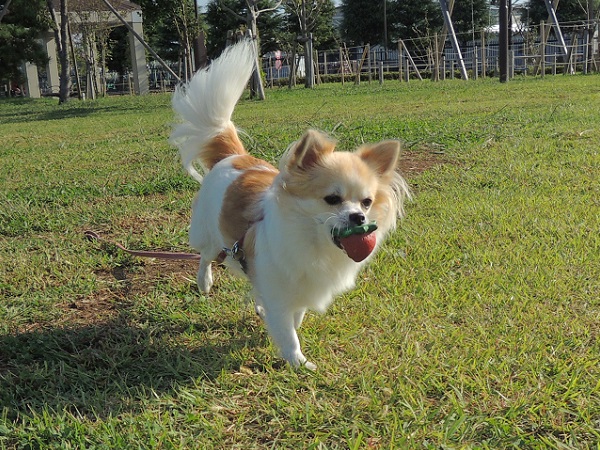 DSCN9417.jpg