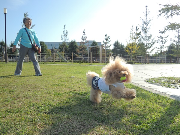 DSCN9420.jpg