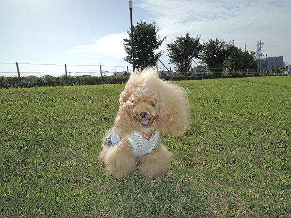 DSCN9431.jpg