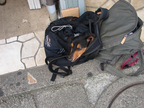 DSC07806.jpg