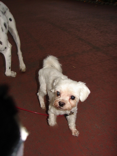 DSC08364.jpg
