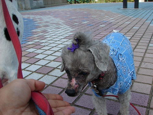 DSC08398.jpg