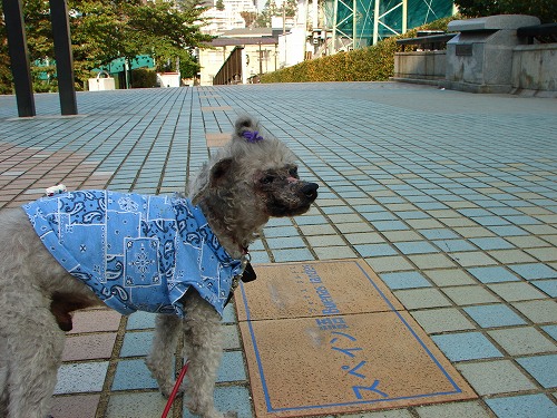 DSC08402.jpg