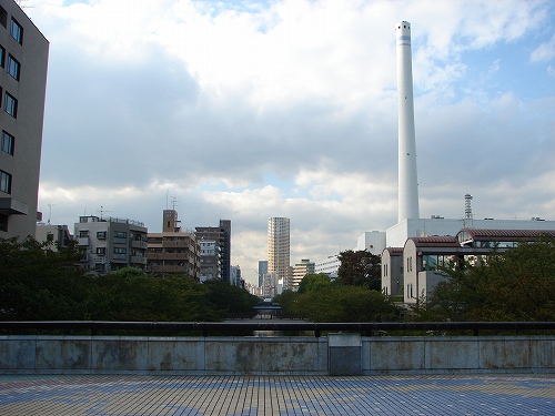 DSC08433.jpg