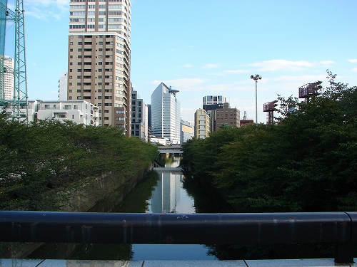 DSC08434_20111014065354.jpg