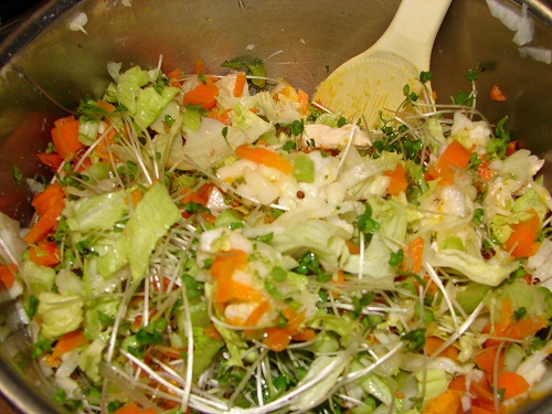 DSC08723.jpg