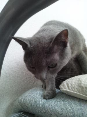 20120331.jpg