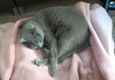 20120401.jpg