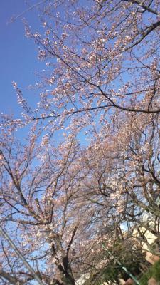 20120402.jpg