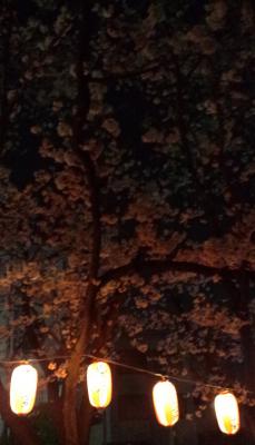 20120409.jpg