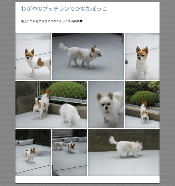 2011_10_24からの写真main