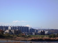 fuji_20131130-1112.jpg