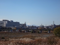 fuji_20131130-1144.jpg