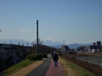 fuji_20131130-1200.jpg