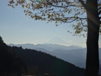 fuji_20131130-1443.jpg