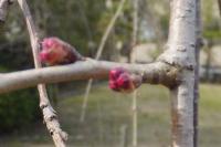 20120324_02.jpg