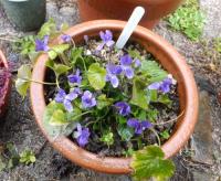 20120324_07.jpg