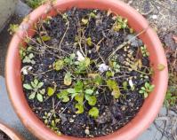 20120324_08.jpg