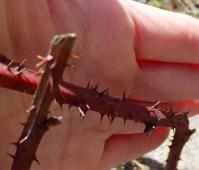 20120411_02.jpg