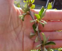 20120411_05.jpg