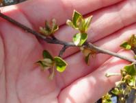 20120411_06.jpg