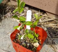 20120411_07.jpg