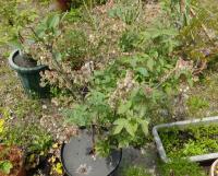 20120429_01.jpg